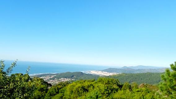Miradouro Florestal de Afife