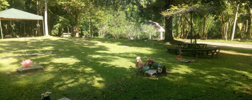 Golden Valley 1 Memorial Gardens