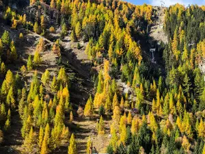 Remontées Mécaniques de Grimentz - Zinal SA