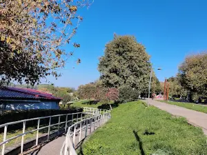 Danube river park