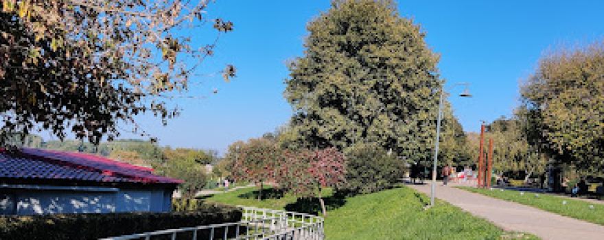Danube river park