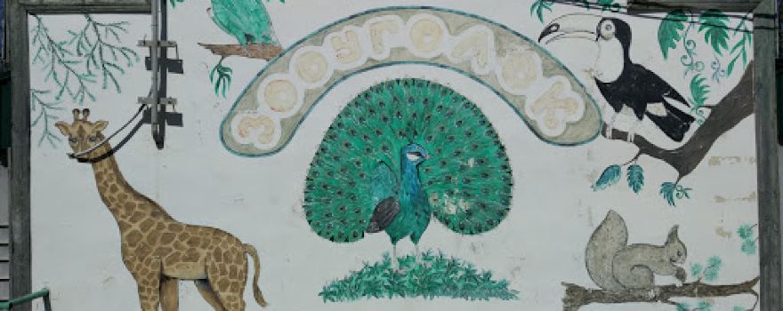 Zoougolok