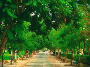 Tishreen Park