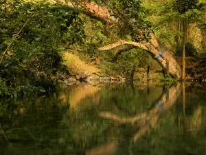 Ojo de Agua "La Huaracha"