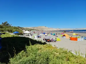 Lobería Puerto Pirámides
