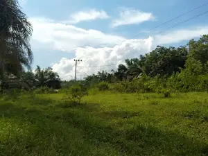 Simpang Trimulya