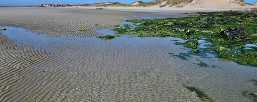 Plage Dunes De La Slack