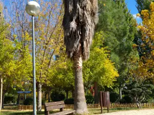 Mesón Park