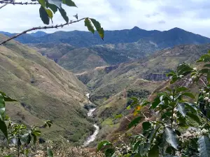 Parque