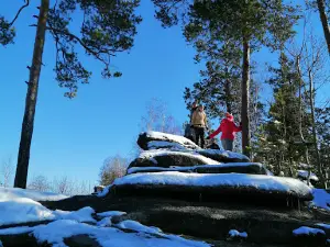 Skaly Petra Gronskogo