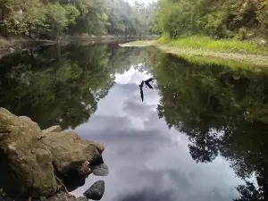 Alapaha River