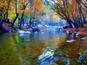 Ayngebire Piknik Alanı