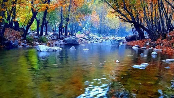 Ayngebire Piknik Alanı