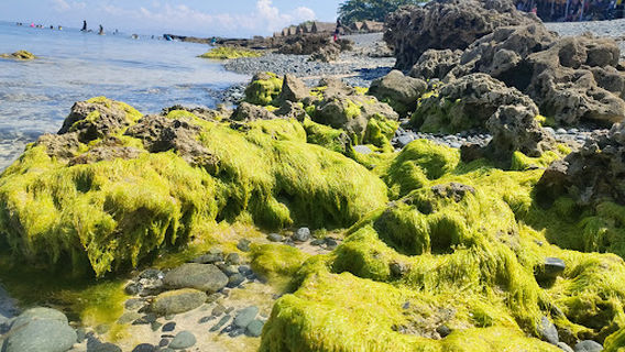 Marquez Beach Resort