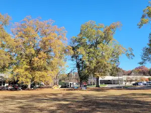 YMCA Park