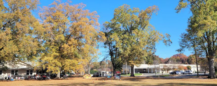 YMCA Park