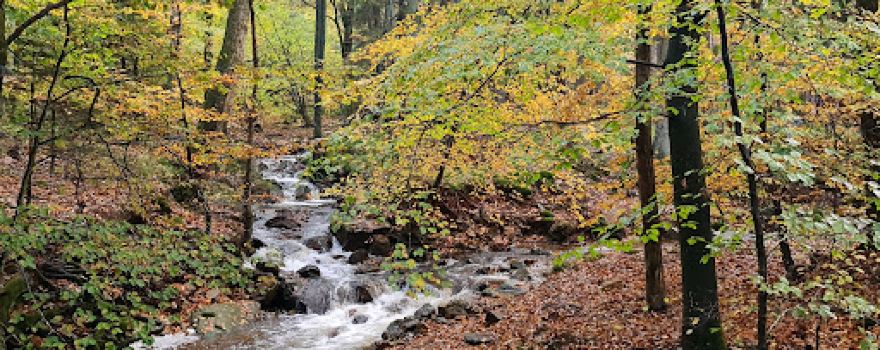 Camping Polleur in the Ardennes