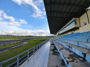 PACUAN KUDA MAESA TOMPASO
