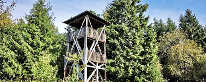 Harzblick-Turm