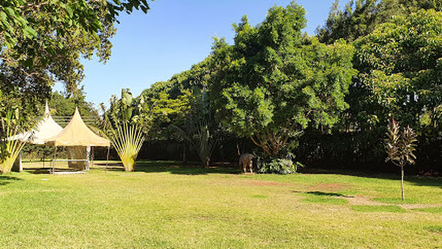Bethsaida Park