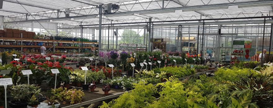 Swincar Nurseries