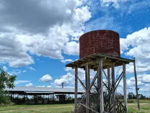 Yelarbon Silo Art