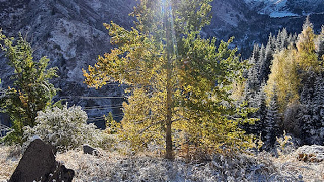 Gorel'nik thermal source