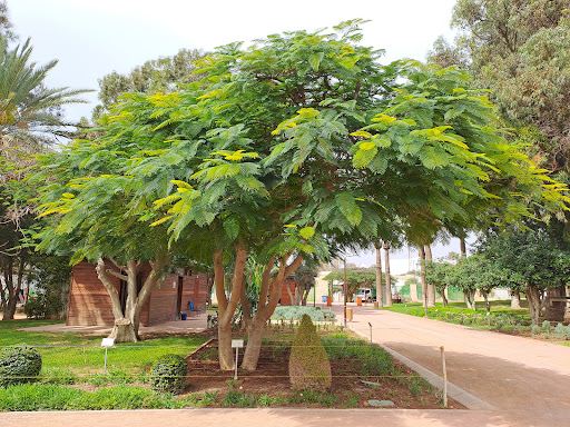 iben Zaydoun Garden