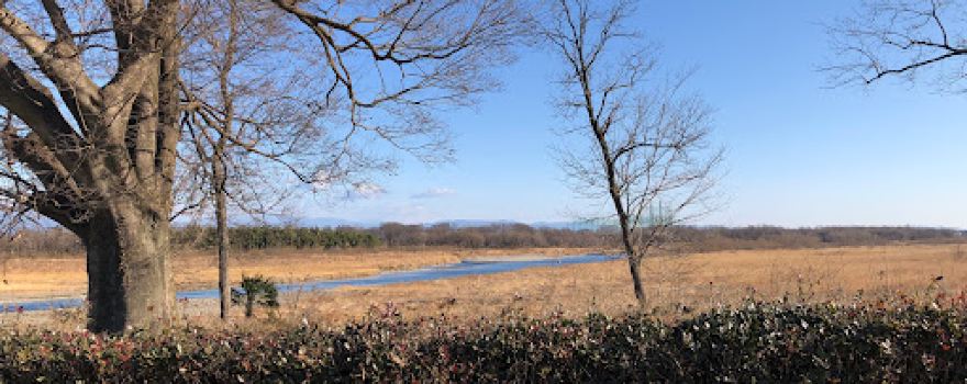 Kamisato Golf Ground