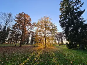Suure-Kõpu mõis