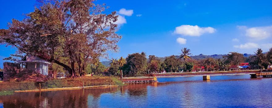 Situ Rawa Bamban Kedungwringin