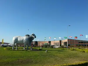 Campo Ferial