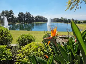 Asturian Center of Mexico Club Campestre Ecological