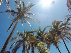 PLAYA EL TORIL PAITA