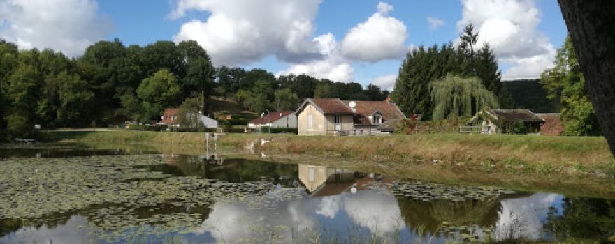 Office National des Forêts (O.N.F)