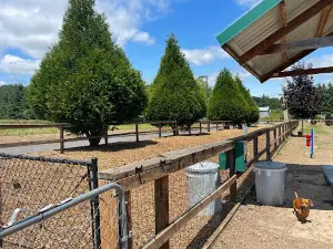 Thatcher Dog Park