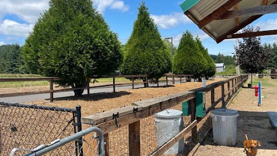 Thatcher Community Park