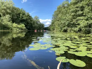 Schaalsee-Camp | ein Naturerlebnisort der Kanu-Center Krebs KG