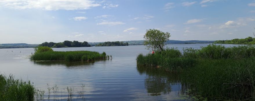 Zala