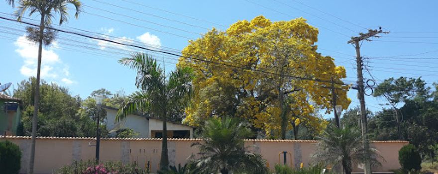 Square Joaquim Pacheco