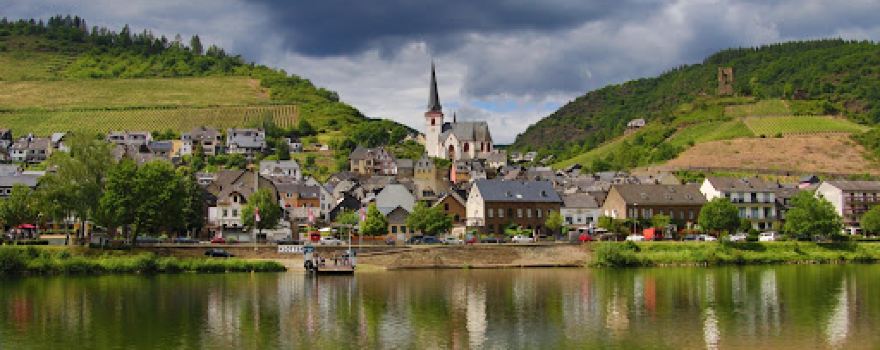 Moselschieferblick
