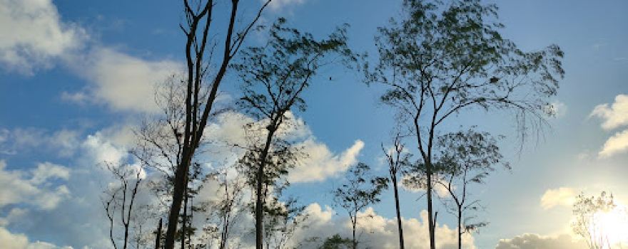 New Digha Picnic Spot