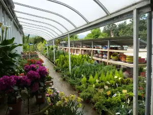 Los Rosales Garden Center S L