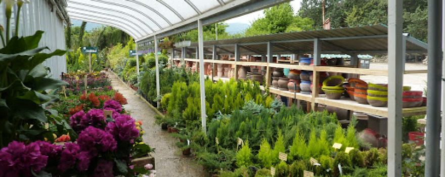 Los Rosales Garden Center S L