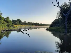 Lake Panic Bird Hide