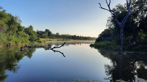 Lake Panic Bird Hide