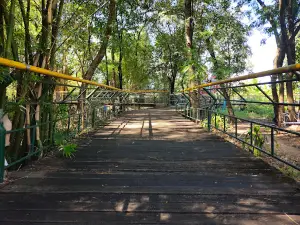 Turtle Village