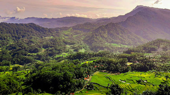 Warung Kuliner Puncak Bangku