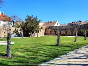 Palace Park
