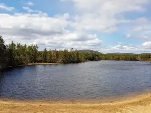 Lintjärn